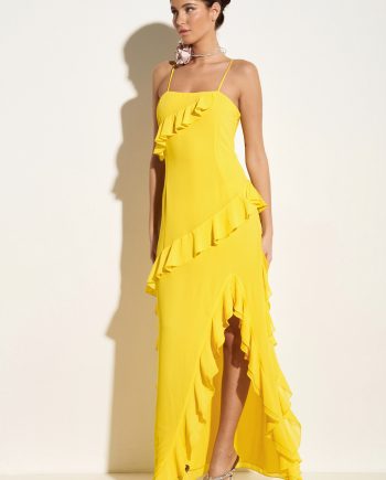 Sunny maxi dress