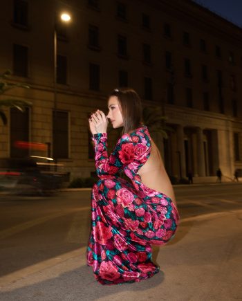 Cecil maxi velvet dress